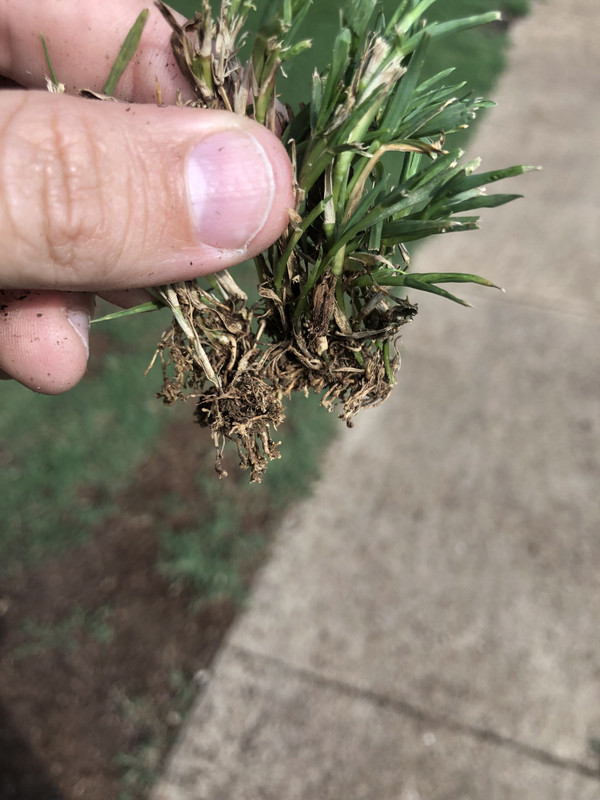 02DC7522-1195-4E00-B30A-4CD85D04727C