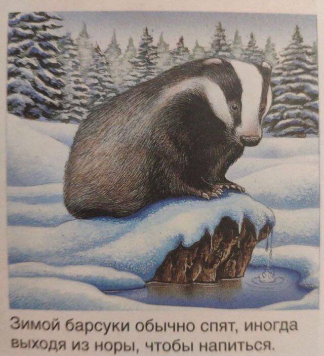 IMG_20221231_000724_930