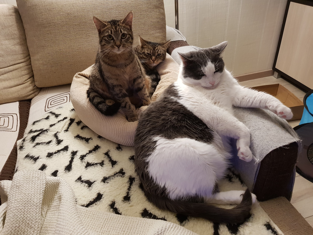 20190305-213327.jpg