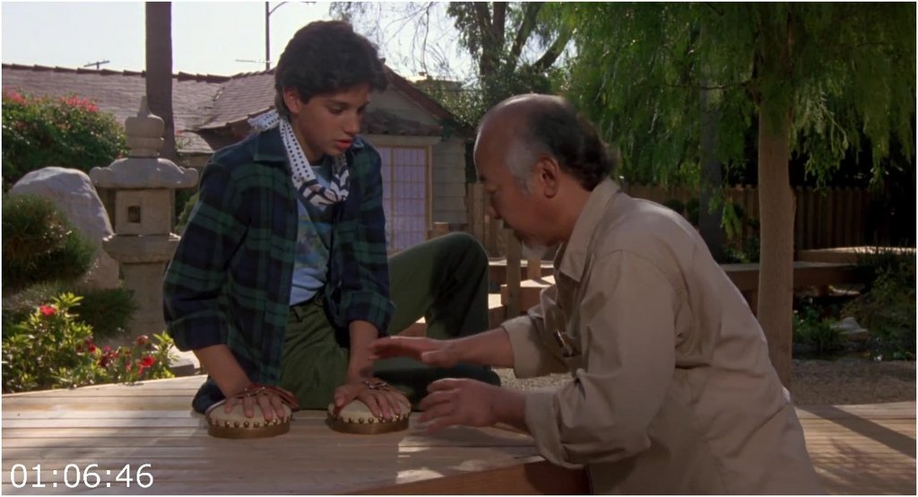 The-Karate-Kid-1984-1080p-H264-Ita-Eng-Ac3-Sub-Eng-Snake-SPL-MIRCrew.jpg