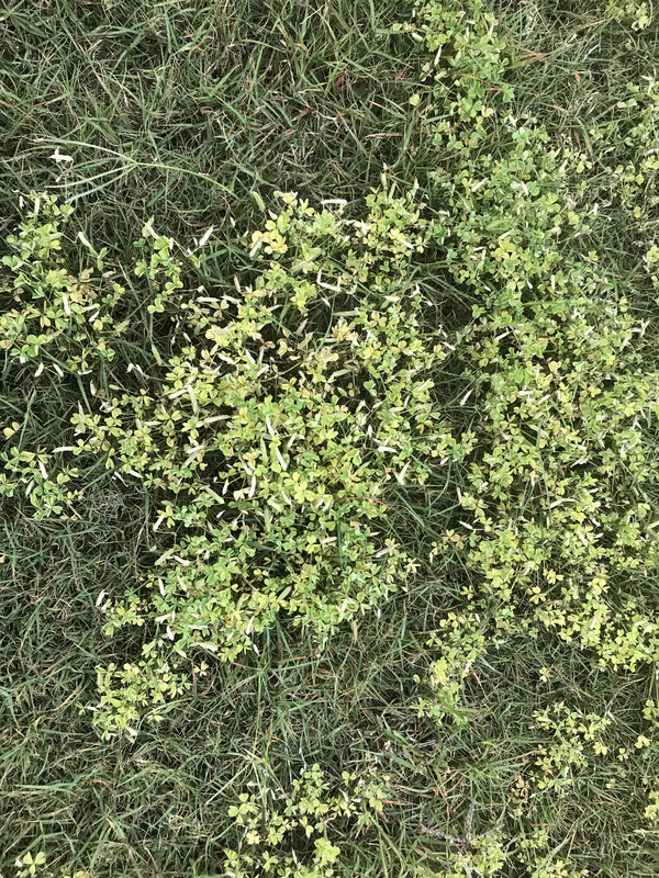 4CF1BF48-5A2F-4B28-ABA3-538C9D4A3F8D