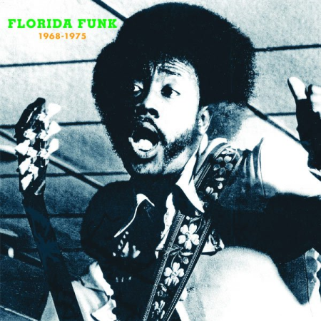 038b8d81 df1a 42a9 ad1f 015462526773 - VA - Florida Funk: Funk 45s from the Alligator State (2007)