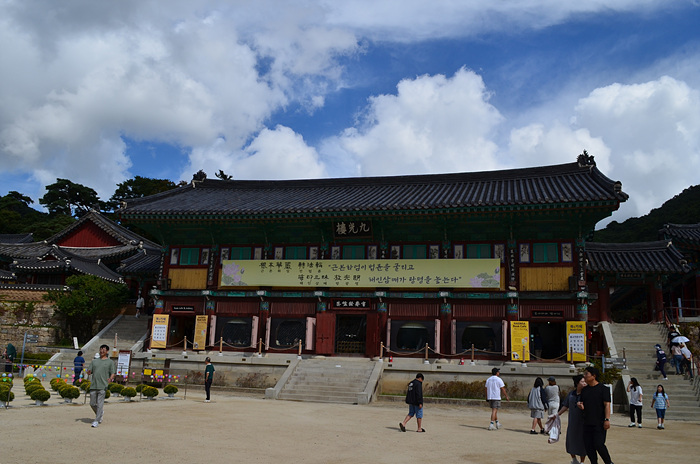 DSC-0778