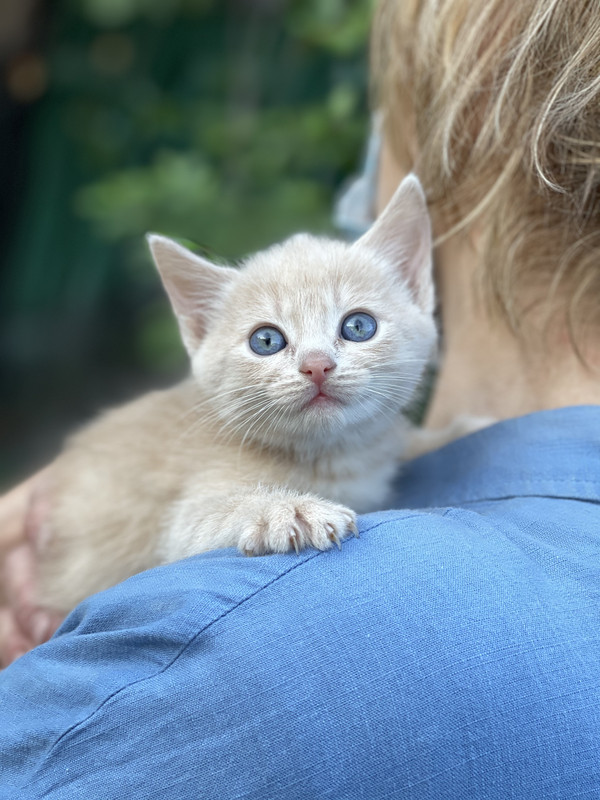 16721420-FE79-4D58-BCBA-8989D66C52F5