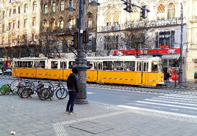 BUDAPEST EN UN FIN DE SEMANA - Blogs de Hungria - Puente de las Cadenas, Noria, estatuas, Parlamento, Catedral etc (18)