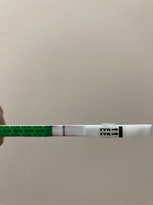 F1F00641-B6F7-4978-84FB-7064AA4C4534