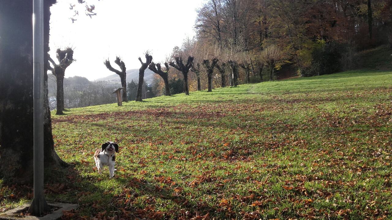 0EE85302-F544-4F76-B92A-B0789AADBC46