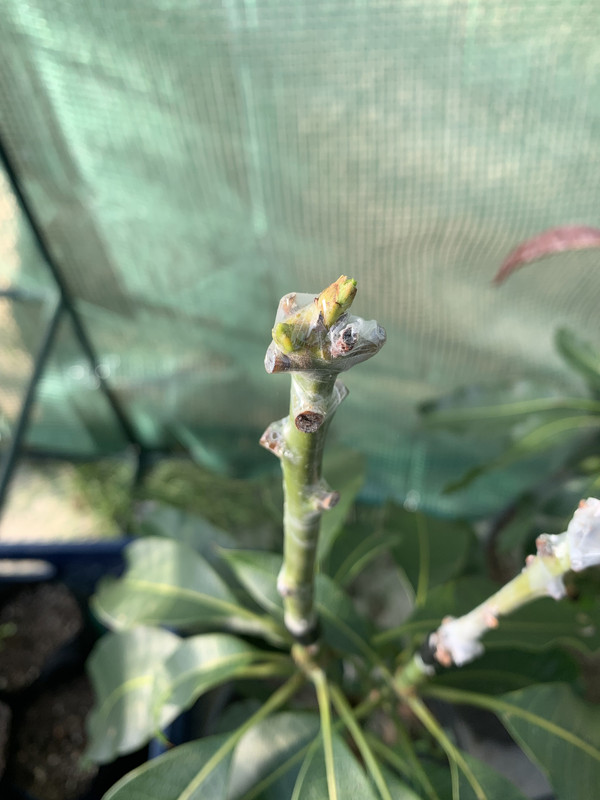 F4872FA2-CBC4-46D8-BD60-9295E3FD39C1