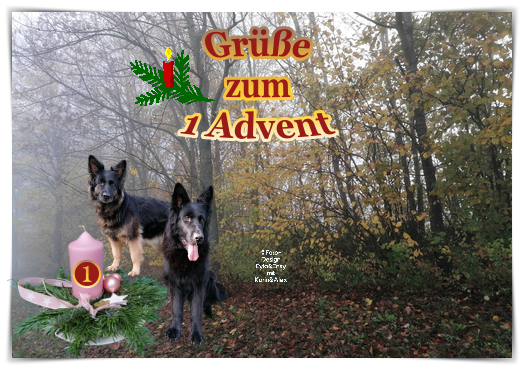 An den Beitrag angehängtes Bild: https://i.postimg.cc/mDYB54CQ/1-Advent-Watermarked.png