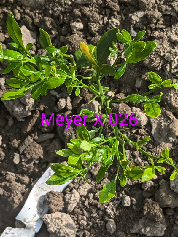 PXL_20240503_133239052~2