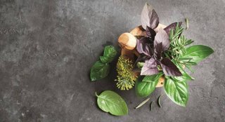 Μυρωδικά βότανα: Θησαυρός για την υγεία Shutterstock-559124614-768x476