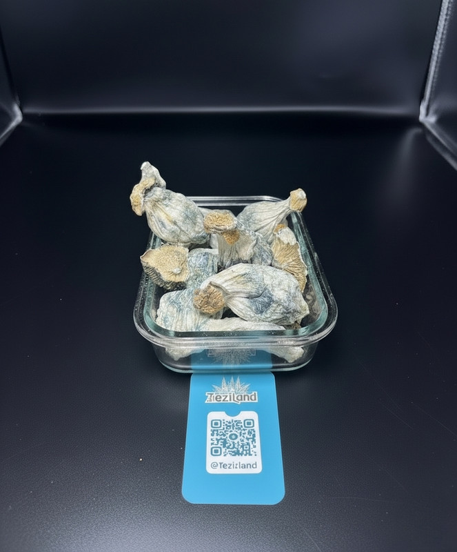 Killa Gorilla Mushrooms