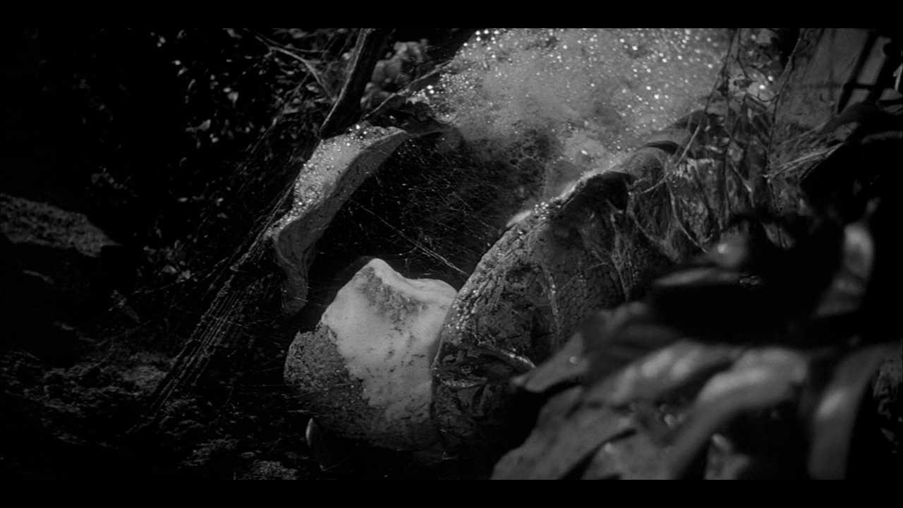 INVASION OF THE BODY SNATCHERS REFERENCE (3)