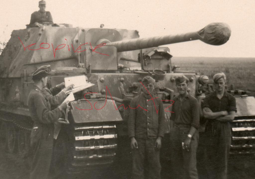 Wehrmacht 8,8cm Panzer Jäger Tiger SdKfz 184 Fer