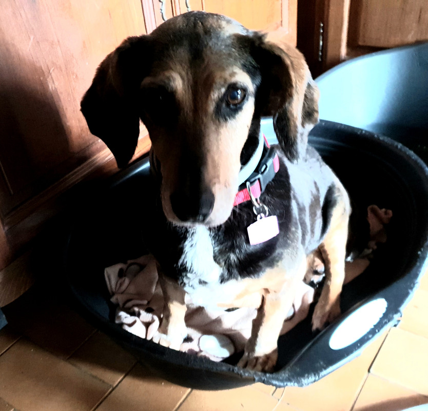 [Image: 20210625-173538.jpg]