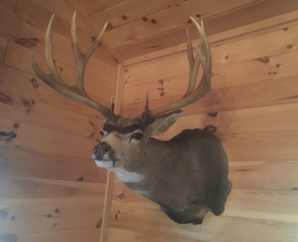 D67D2BD7-3FEC-47A0-BF69-0A2CEC46507A