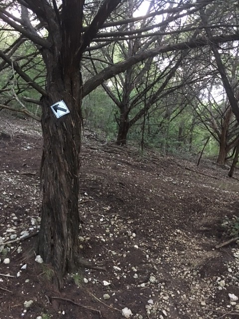 IMG-8790.jpg