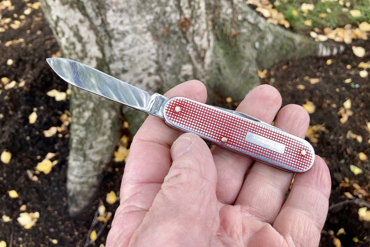 457E1BA0-7F4F-4E3B-96C8-410DECC72E5C