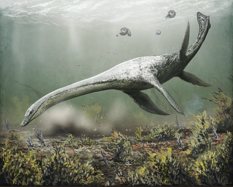By <a href='https://www.markwitton.co.uk/palaeoart?pgid=mktzltc0-6211f3b6-5360-4c3c-a1db-e2592f69e6fe' target='blank'>Mark P Witton</a> 