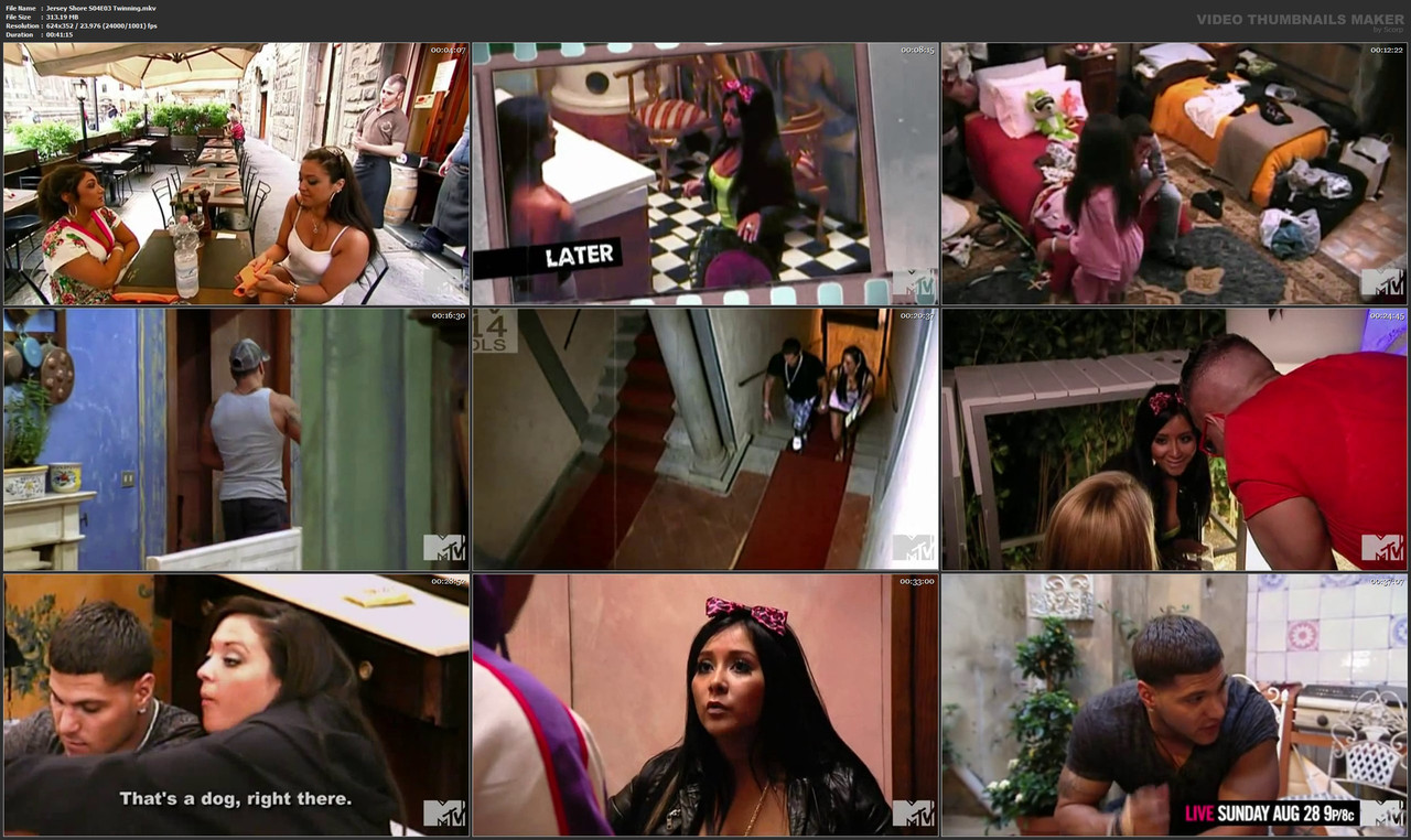 Jersey Shore S04E03 Twinning.mkv