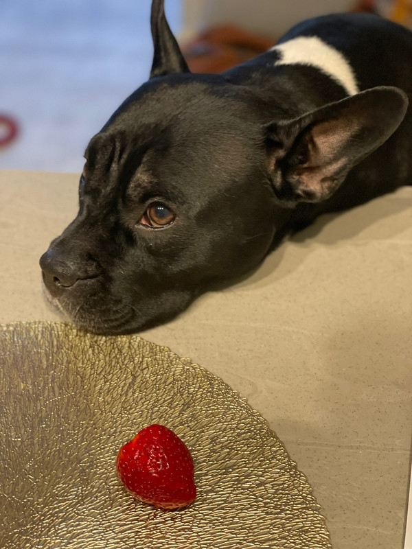 158F1921-0EC6-4D8C-B58F-0920E3056A0E