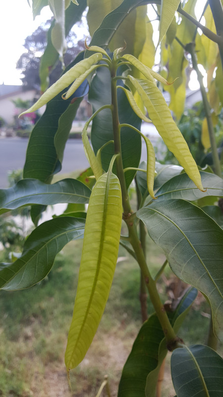 20171020_152535