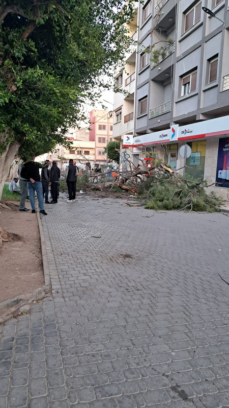 140d13ae-c5b2-4bd5-b322-a8e938cb3534