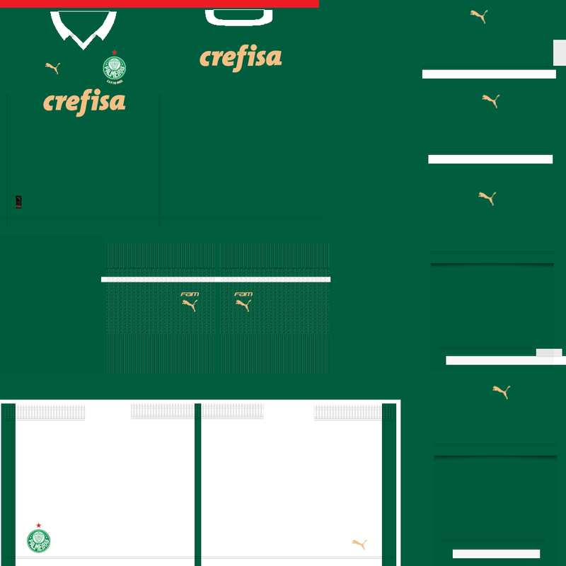 palmeiras-home.png