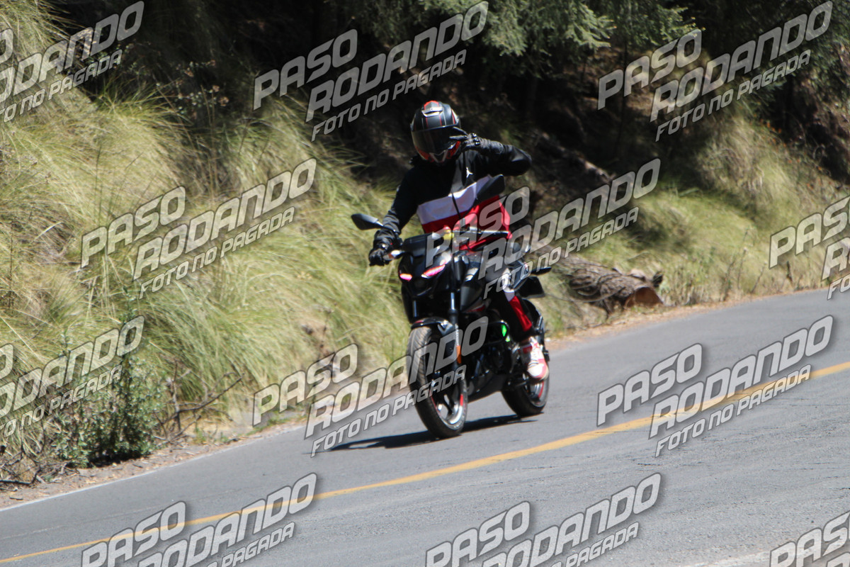 IMG 8335 wm 2571584 799999999 watermarked — Postimages