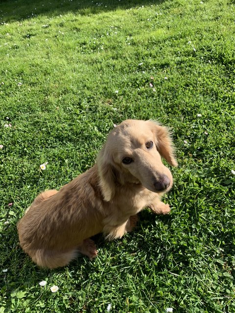 [Image: 9-B94-CA39-45-FC-445-C-A089-2-D8-D0-CCE4-DDD.jpg]