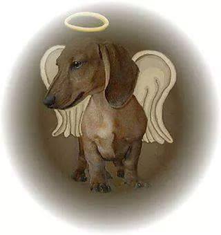 [Image: 11377227-934699973252908-6182754525109427843-n.jpg]