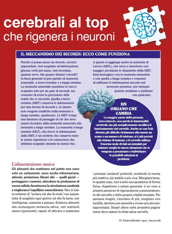 Cur Mang Ago-Set 2025 (4)