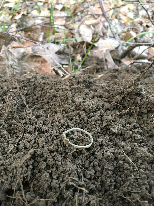 B3178B87-0255-4897-B875-2E48426381EF