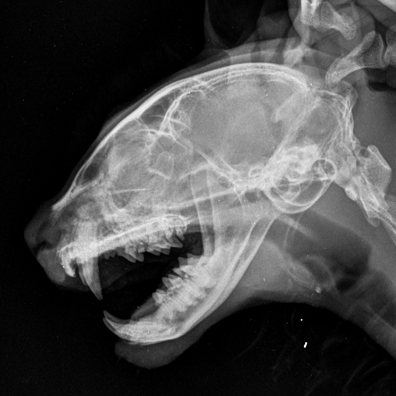 889BF909-C2FE-4007-AE39-DC835461006C