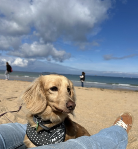 [Image: IMG-7967.jpg]