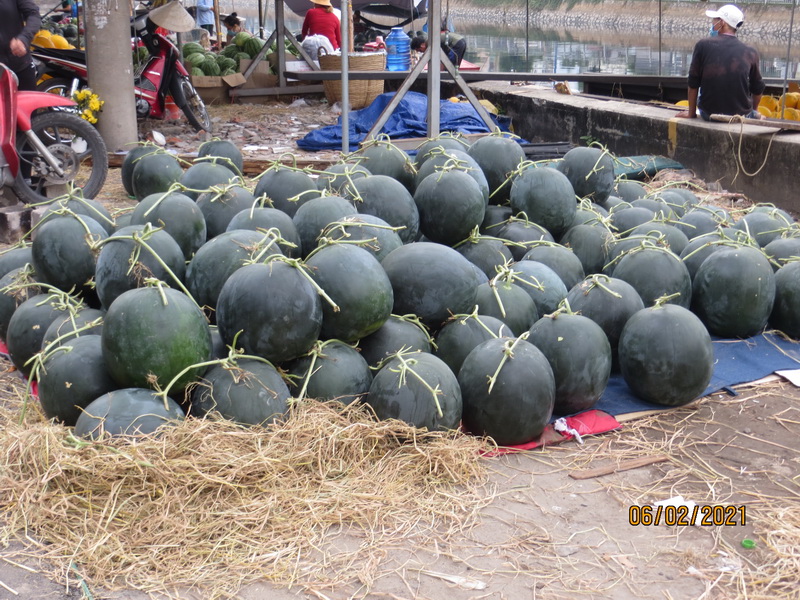 [Image: IMG-7640.jpg]