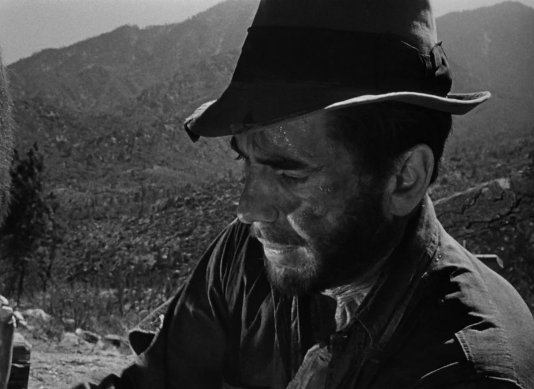 The Treasure of the Sierra Madre (1948) (1080p BluRay x265 LION)
