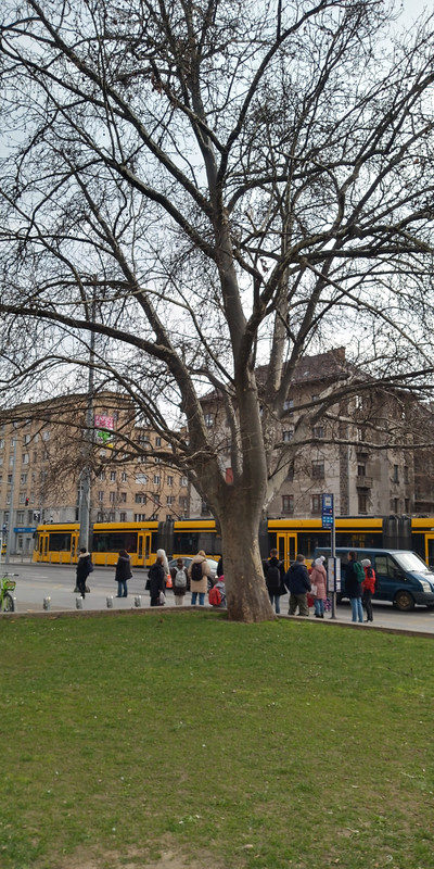 Kép