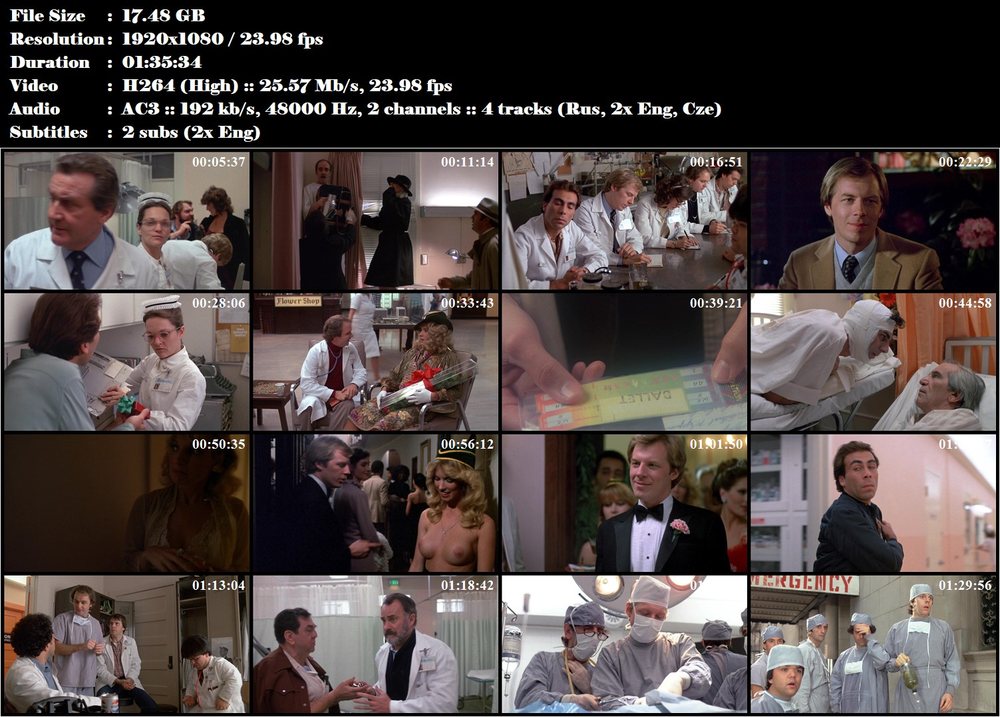 Lékařská akademie / Young Doctors in Love (1982)