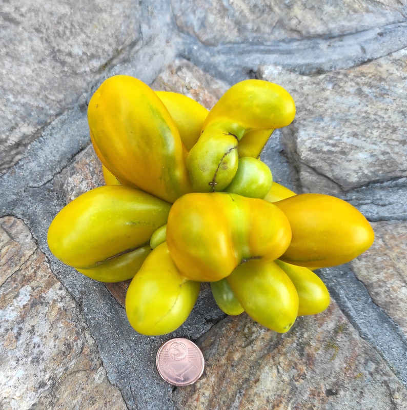 547935754_24564856039800097_5304707323608744668_n