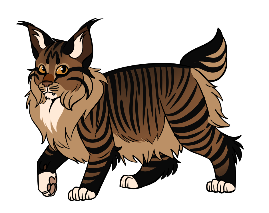 Boarkit of Shadowclan Boarkit