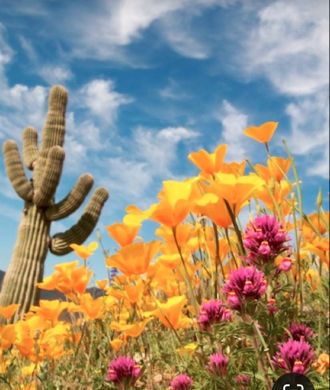 Screenshot_20231107_210129_Pinterest