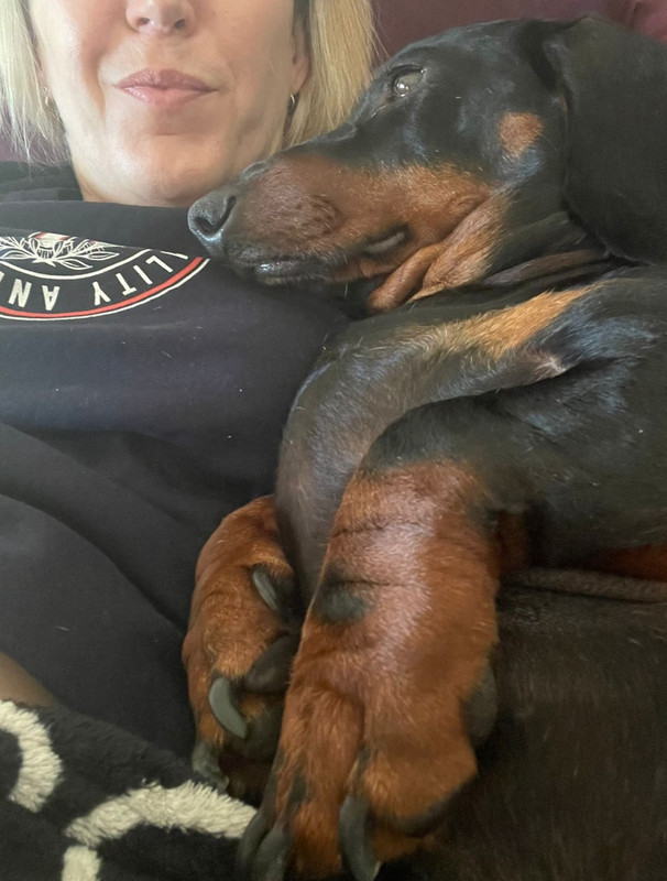 [Image: IMG-20240805-WA0024.jpg]