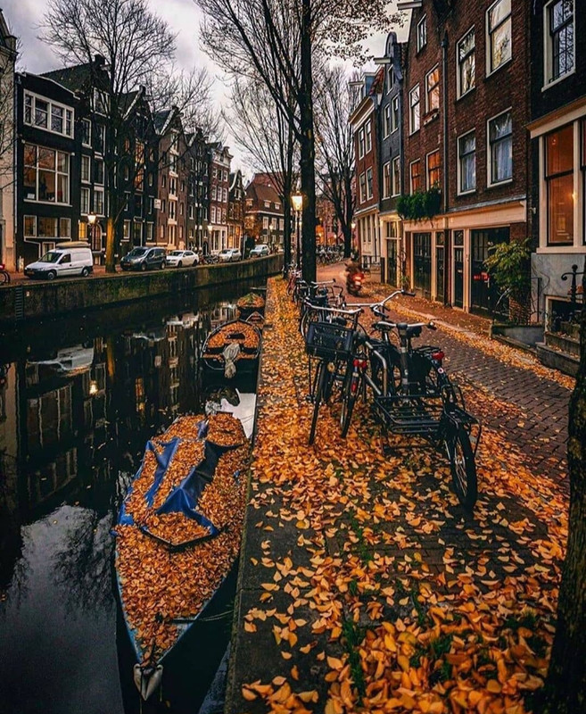 Screenshot_20231207_153821_Instagram