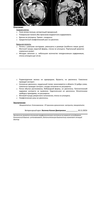 Screenshot_20240228_125731_Mail