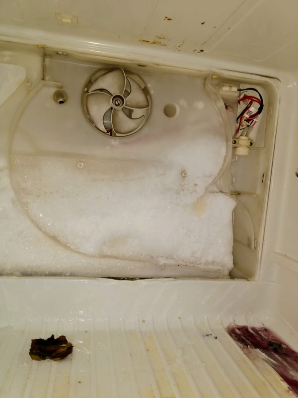 Serviço Especializado