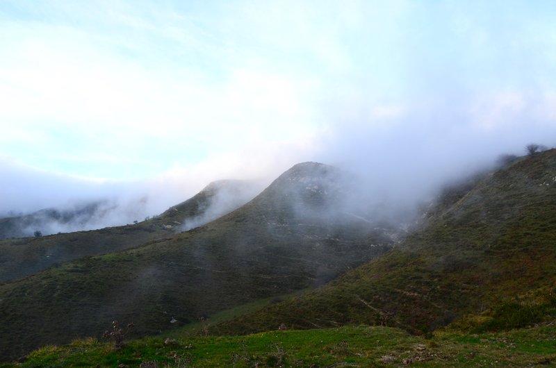 Navarra y sus pueblos-2015 - Blogs de España - Selva de Irati-14-11-2015 (107)