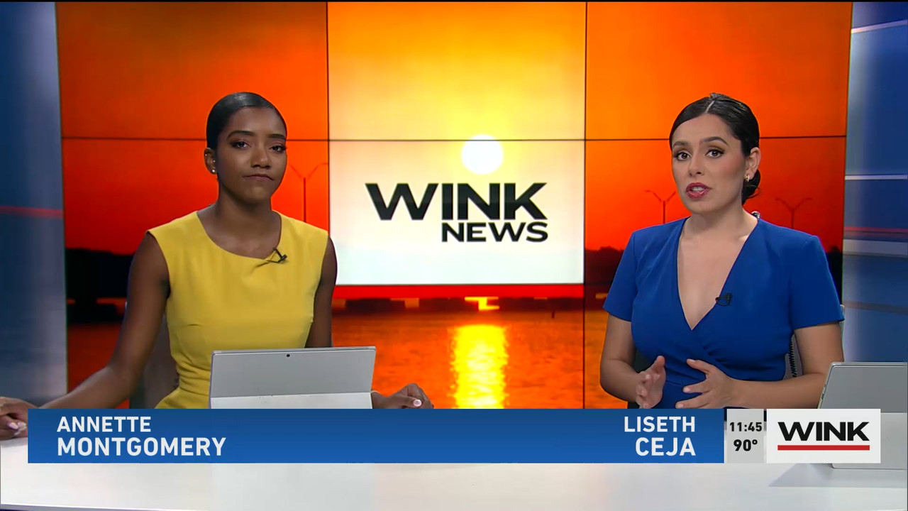 07.23 - 16.30.00 - WINK NEWS at 11 30am. Midday news..ts_snapshot_21.34.183
