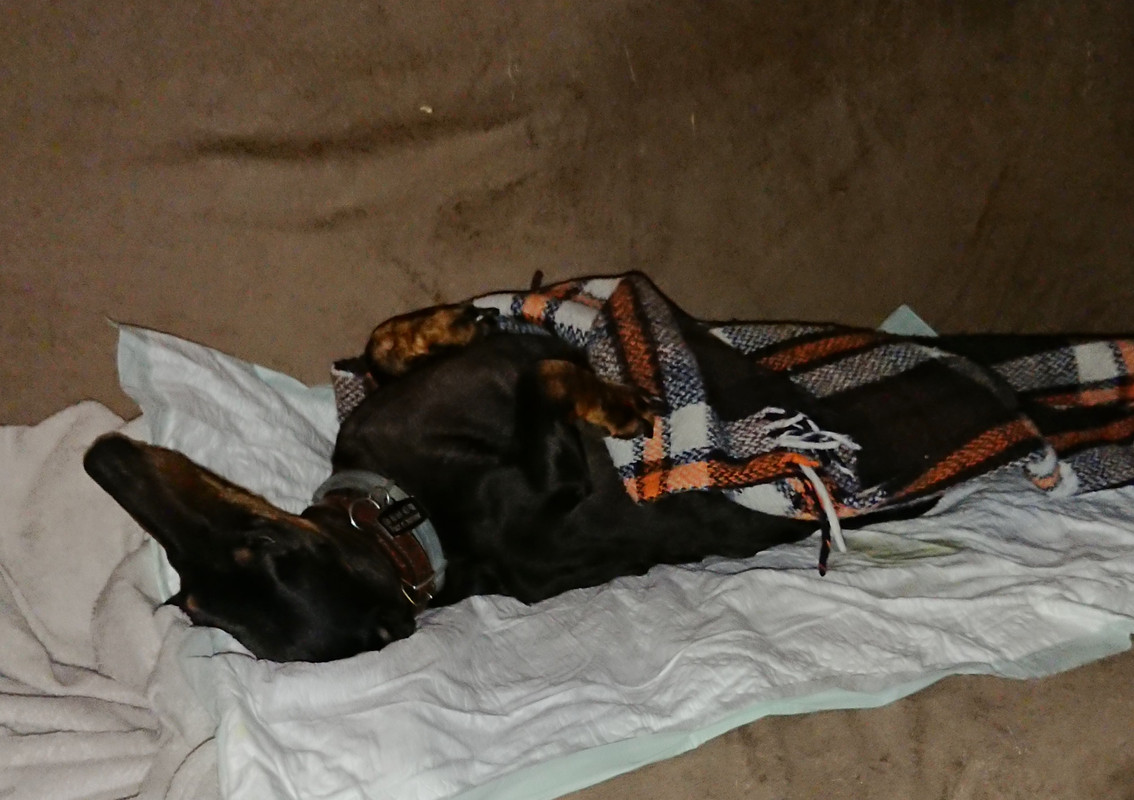 [Image: 20221014-235907.jpg]