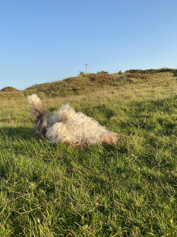 259945DF-3A61-47F3-AE6C-512BF8C8F371